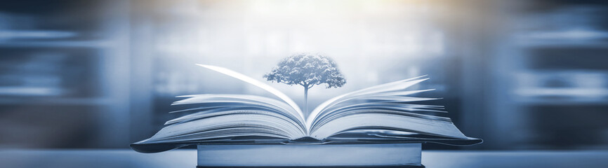 项庄舞剑意在沛公是什么意思