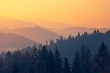 转让专利技术会计分录如何编制？