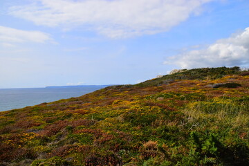 如何在小区搞家电产品促销活动-