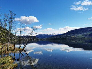 南方电网的农电工有可能入网编制吗