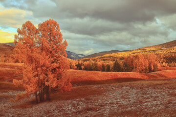 转让专利技术会计分录如何编制？