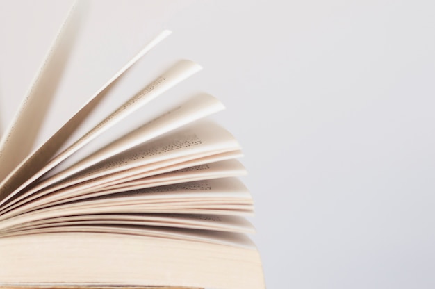 20分求nds玩具店大亨攻略