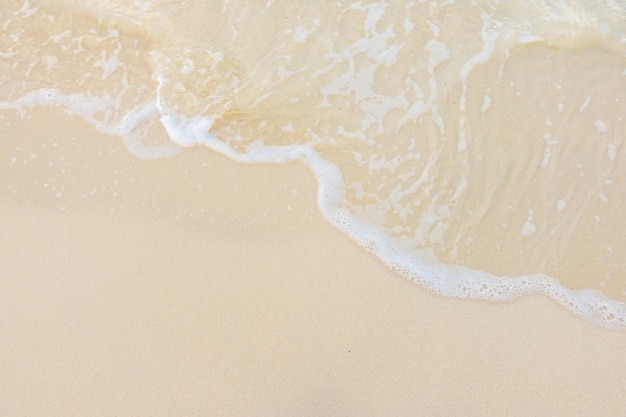 美国研究生录取率最高的大学有哪些