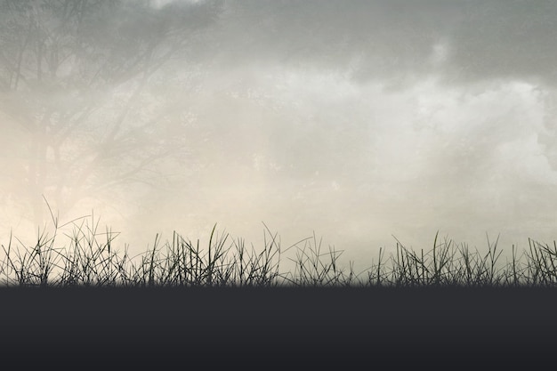 初中生转学籍需要什么手续和条件