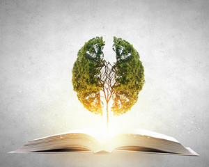 从佛山怎么开车去番禺十九涌 .速度求路线. 谢