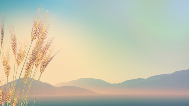 拉萨市有哪些县（市）、区？