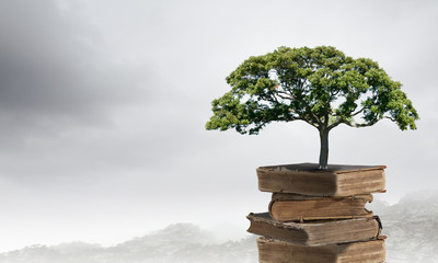 欧洲有哪些高原山脉平原盆地半岛