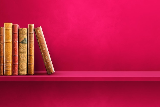 项庄舞剑意在沛公是什么意思