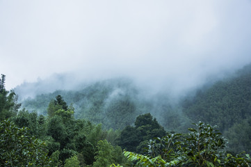 不小心注册了税务实名登记怎么办